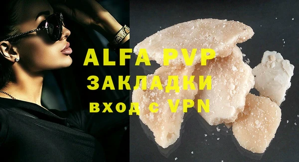 сатива Арсеньев