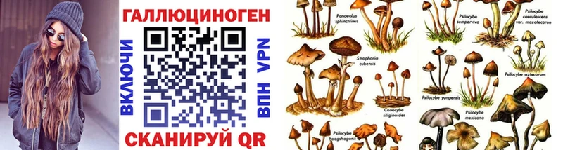 Галлюциногенные грибы прущие грибы  купить  цена  МЕГА вход  Сальск 